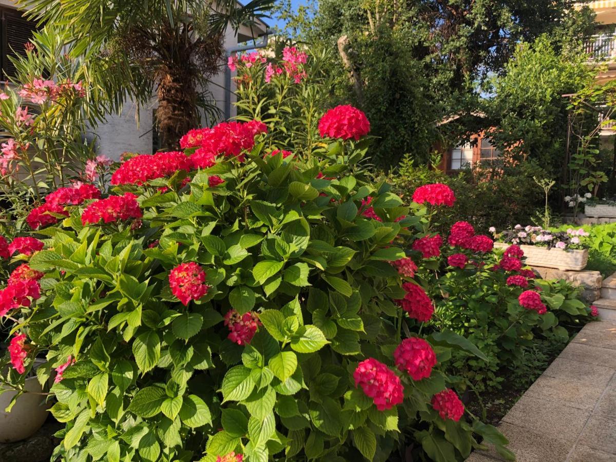 Casa Hortensia Njivice Eksteriør bilde