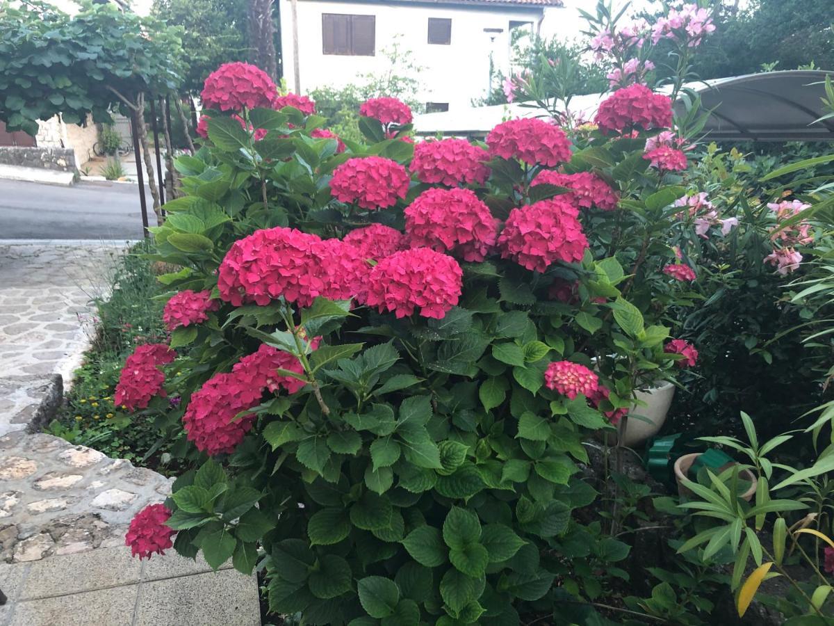 Casa Hortensia Njivice Eksteriør bilde